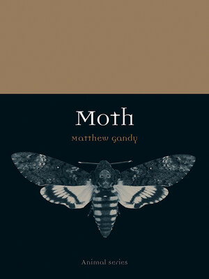 cover image of Moth